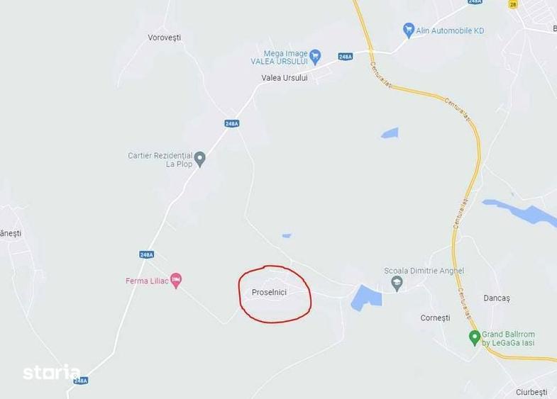 Teren Intravilan Miroslava, Proselnici, 7000mp - 7