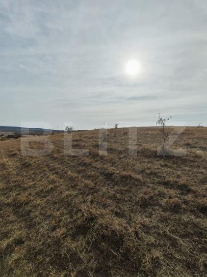 Teren agricol extravilan de 61500 mp, în Moldovenești