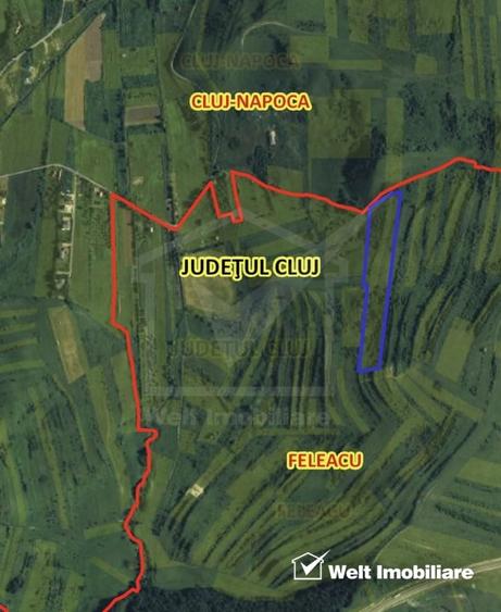 Teren agricol extravilan de 24280 mp, în Sopor