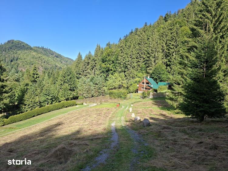 Teren de 6200 mp, în Lunca