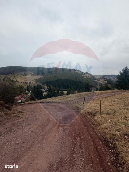 Teren de 6500 mp, în Arieșeni