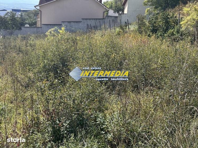 Spațiu comercial, în Cetate