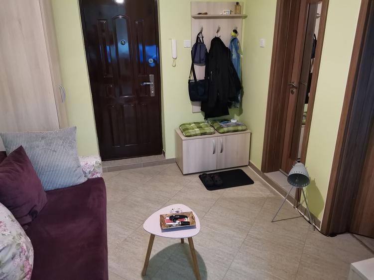 Apartament cu 1 camera de inchiriat Zona Centrala, Str. Gheorghe Lazar 13A (in spatele ANAF) - 4