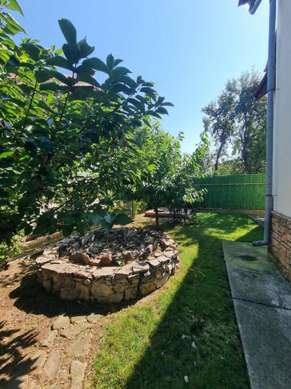 Pipera - 2