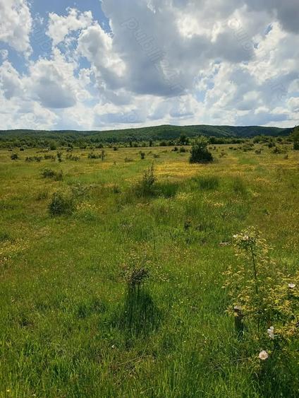 Teren de 1500 mp, în Merișani