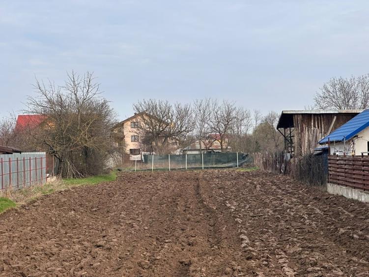 Teren Construcții intravilan de 1514 mp, în Berceni