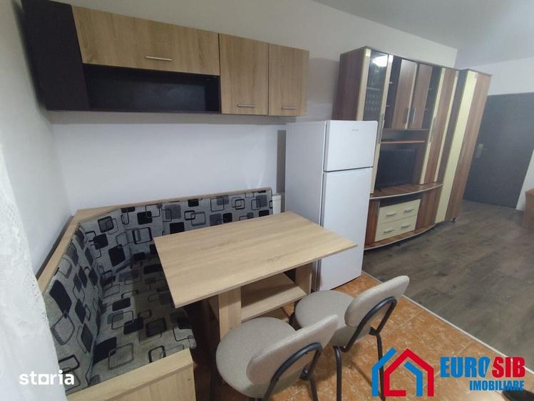 Apartament de inchiriat 2 camere in Sibiu zona Turnisor - 10