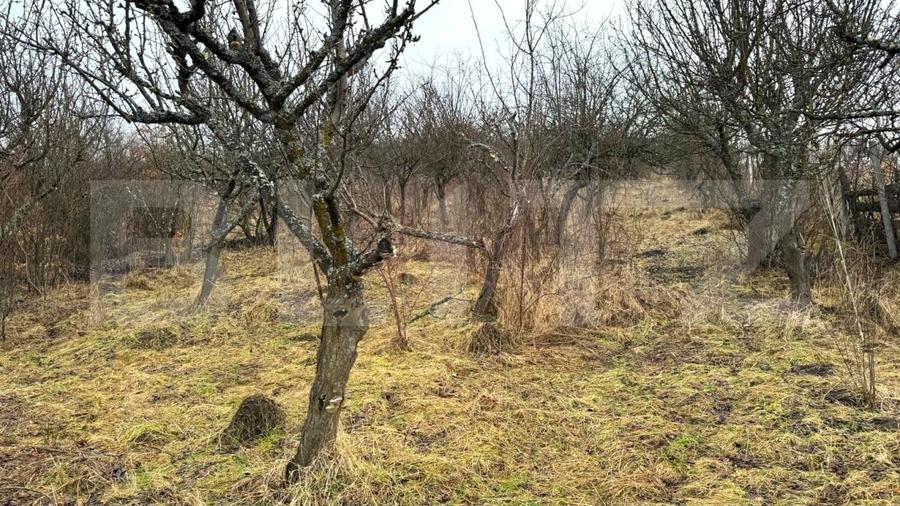 Teren Construcții extravilan de 2900 mp, în Sud-Vest