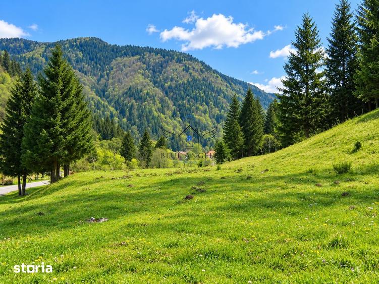 1100mp cu vedere spre Piatra Craiului, Plaiul Foii, Zarnesti - 1