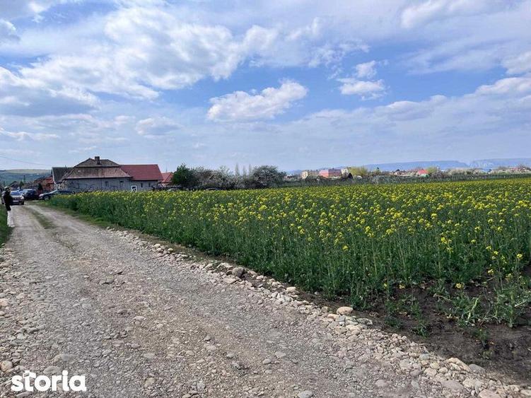 Teren de 3700 mp, în Călărași