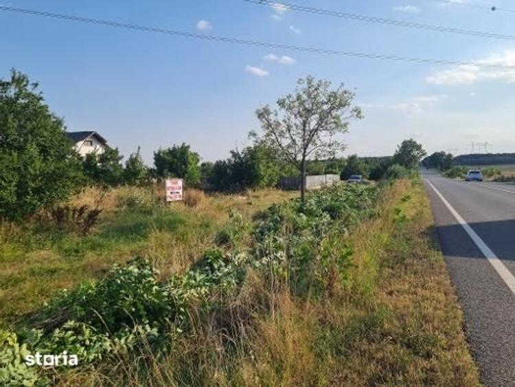 Teren de 5500 mp, în Albota