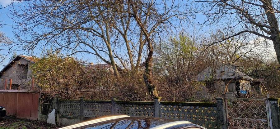 Casă în Gruiu