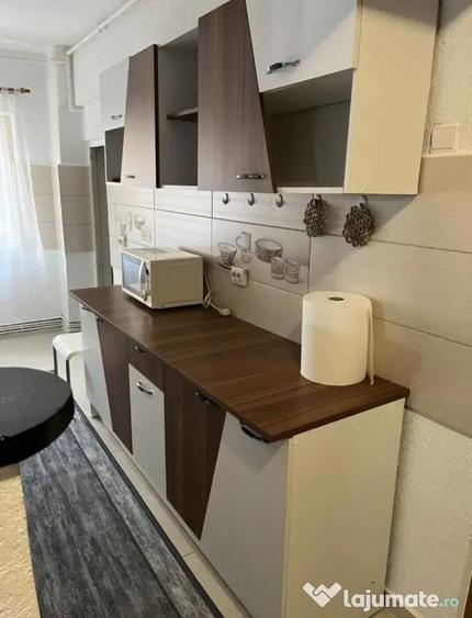 Apartament cu 2 camere, Cetate-Mercur - 4