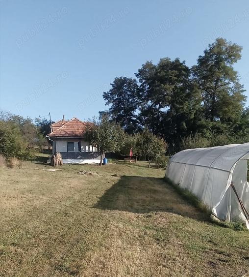 Casă cu 3 camere cu Teren 35000 Mp în Central