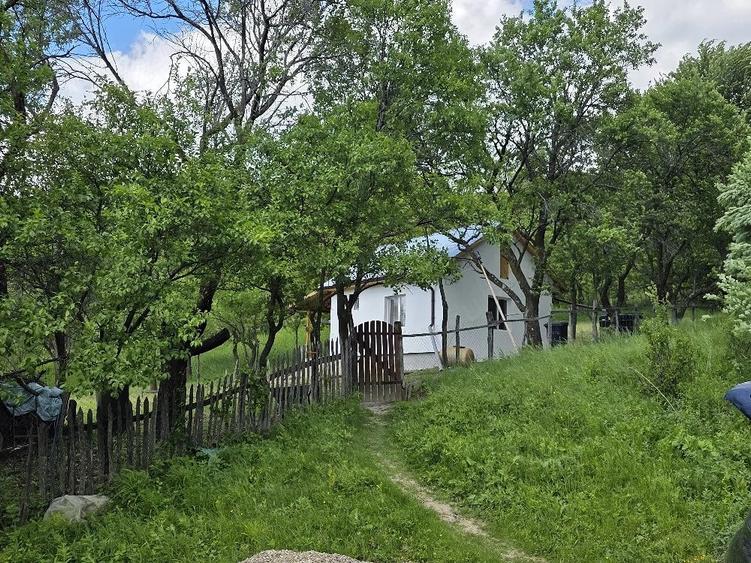 Casă cu Teren 2500 Mp în Poiana Pletari