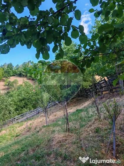Casă cu 4 camere cu Teren 930 Mp în Vale