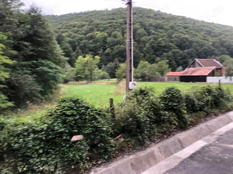 Teren de 4000 mp, în Dobârlău
