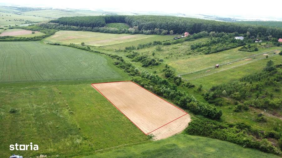 Teren de 2935 mp, în Viile Satu Mare