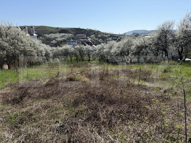 Teren Construcții intravilan de 2743 mp, în Crișeni