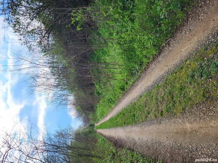 Teren de 3600 mp, în Ghioroc