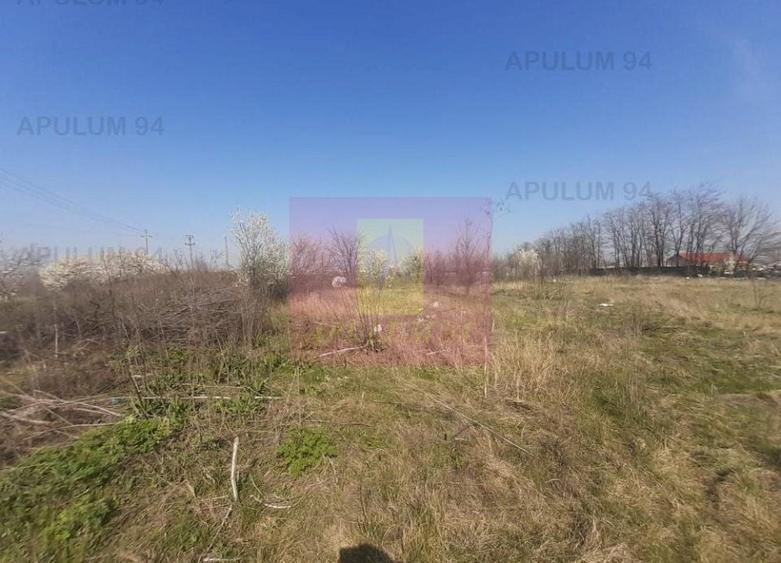 Teren Construcții intravilan de 4800 mp, în Glina