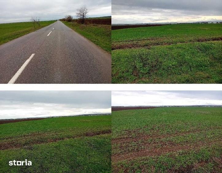 Teren extravilan cota parte 1/6, Targusoru Vechi, ID: R3063193 - 7