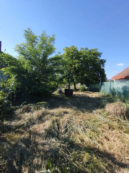 Teren de 1300 mp, în Central