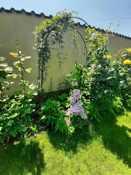 Casă cu Teren 300 Mp în Chiajna