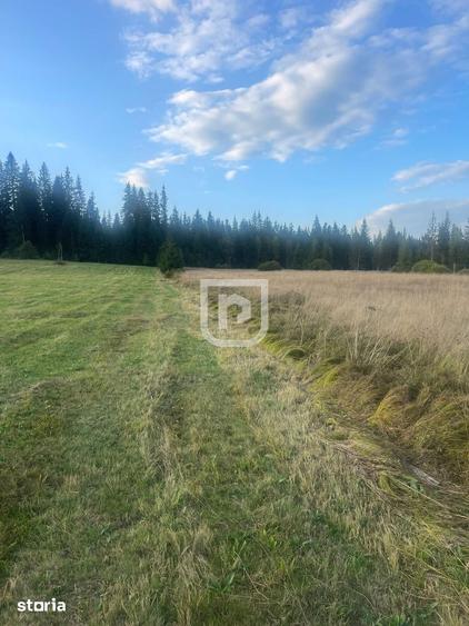 Teren de 5740 mp, în Poiana Stampei