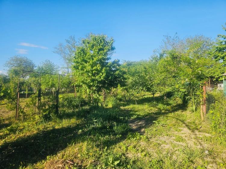 Casă cu 4 camere în Florești