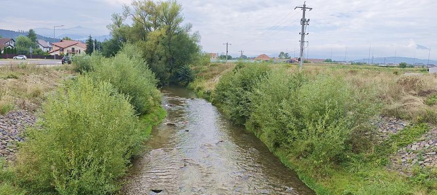 Teren Construcții intravilan de 6355 mp, în Cristian