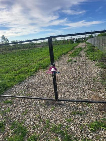 Teren intravilan de 5600 mp, în Ciofliceni
