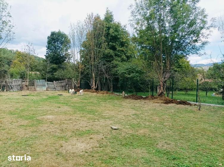 Casa cu teren intravilan 2.273 mp- pozitie centrala Darmanesti Bacau - 4