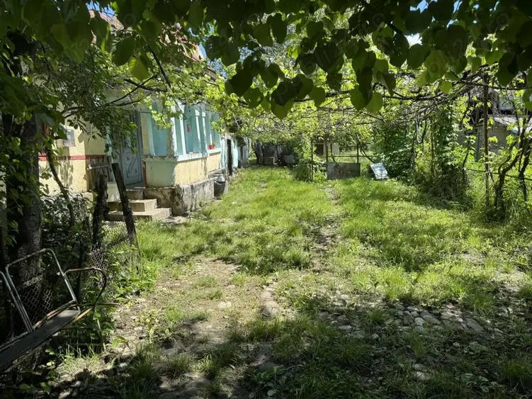 Casa de vanzare! - 5