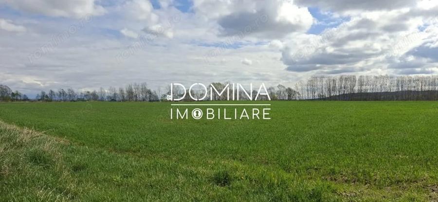 Teren de 20386 mp, în Câlnic