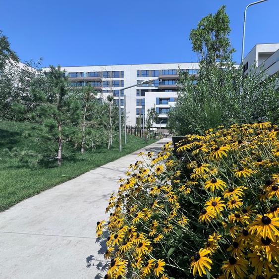 Apartament cu 2 camere decomandat în Străulești