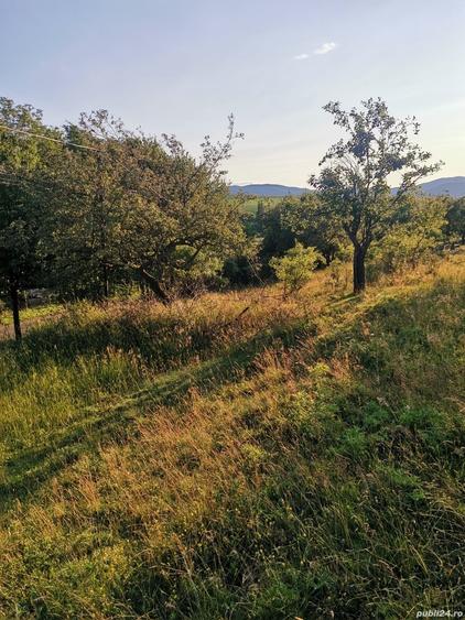 Teren de 2700 mp, în Dobreni