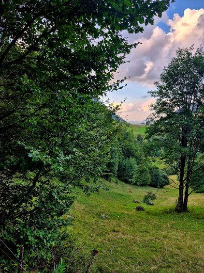 Teren agricol extravilan de 8635 mp, în Peștera
