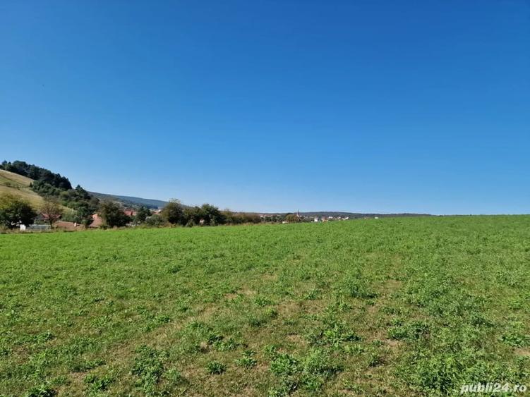 vand teren intravilan agricol 4500 mp in snagov la 40000 euro, - 2