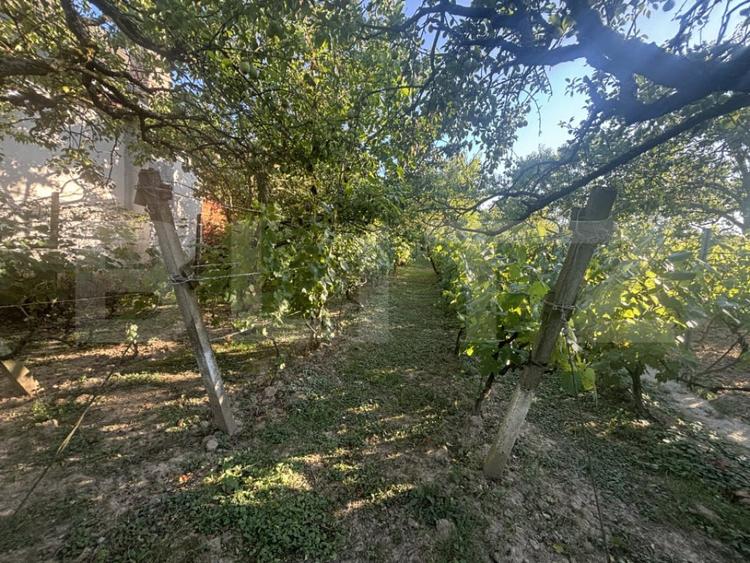 Casă cu 2 camere cu Teren 1021 Mp în Viile Satu Mare