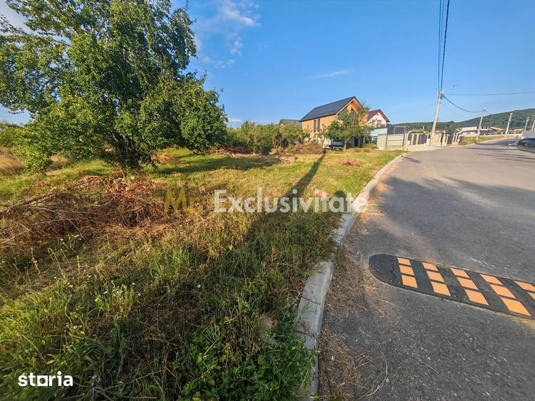 Teren de 1600 mp, în Central