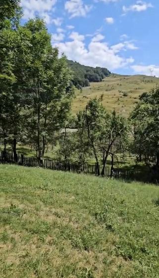 Proprietar, vand teren intravilan Malul Negrasului - Traisteni, Valea Doftanei - 3