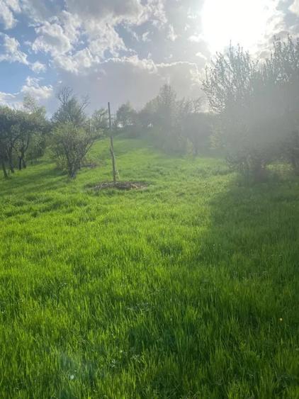Casă cu 5 camere în Livadia