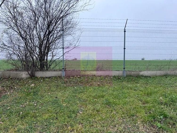 Teren de 13853 mp, în Domnești
