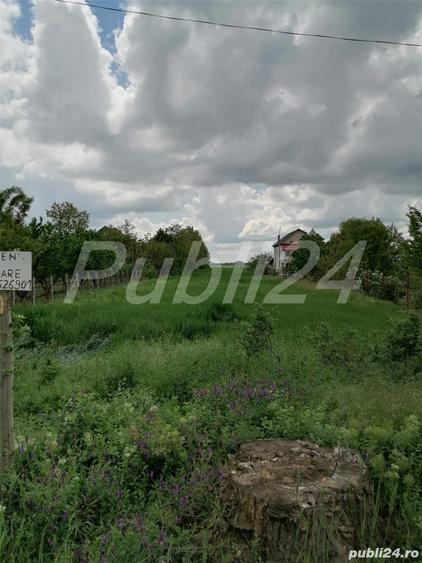Teren Bolintin-Vale, 5000 mp, 18 Euro mp negociabil - 4