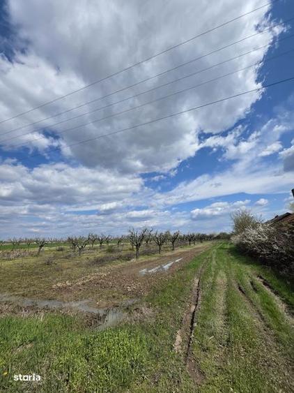 Casă cu 3 camere cu Teren 20000 Mp în Leleasca