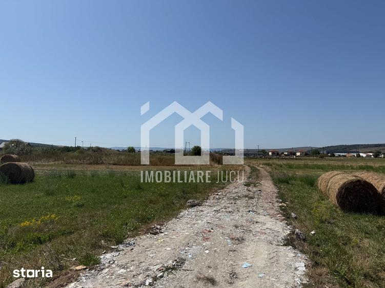 Teren de 5800 mp, în Jucu