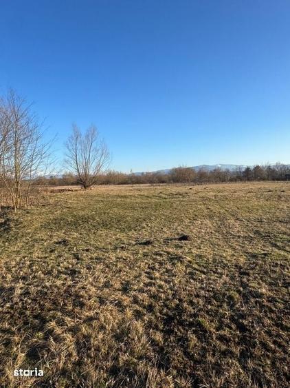 Oaza de liniste cu vedere la munti 2.400 mp langa Aeroportul Sibiu - 7