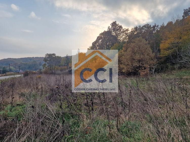 Teren agricol extravilan de 1717 mp, în Mărgineni
