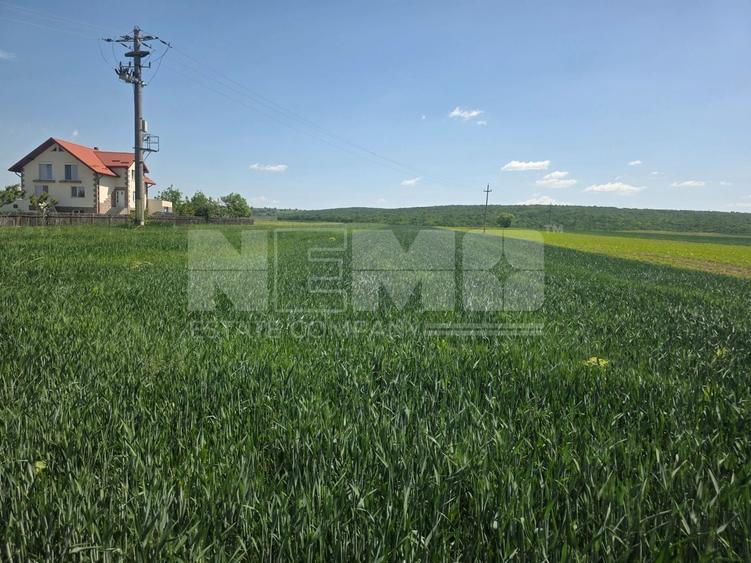 Teren agricol extravilan de 2600 mp, în Mitocu Dragomirnei